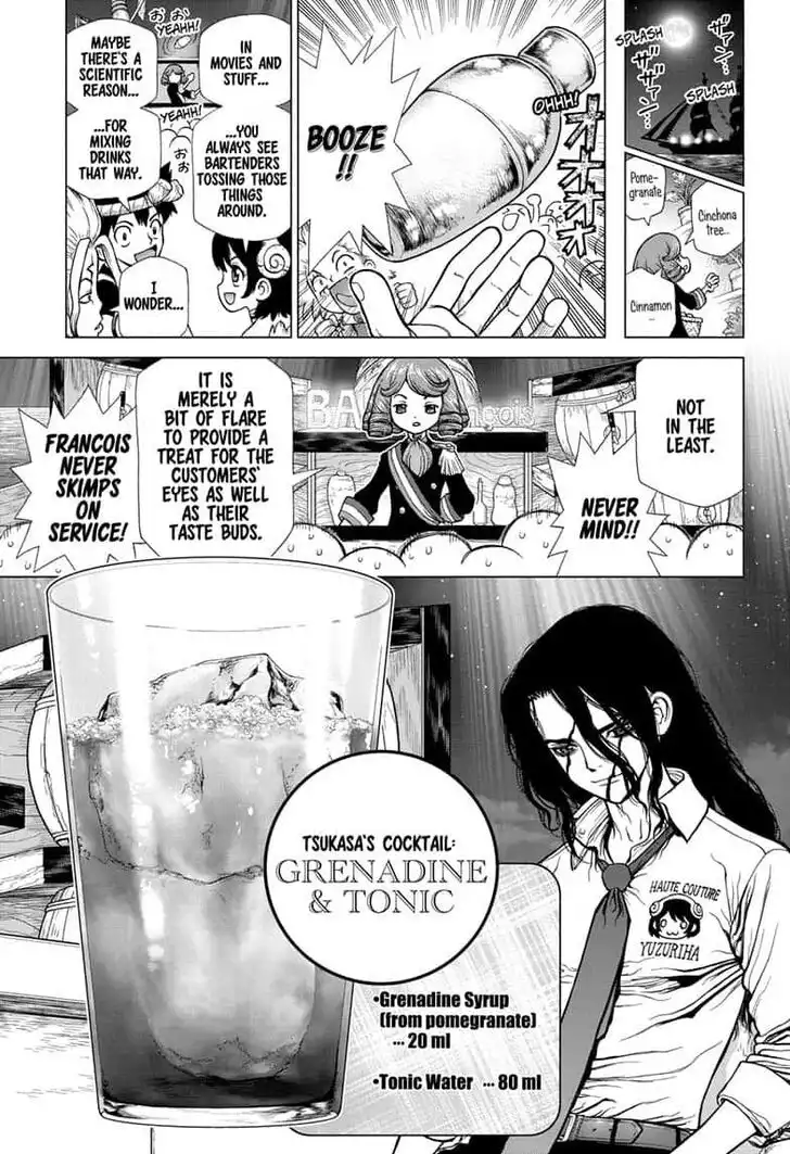 Dr. Stone Chapter 145 11